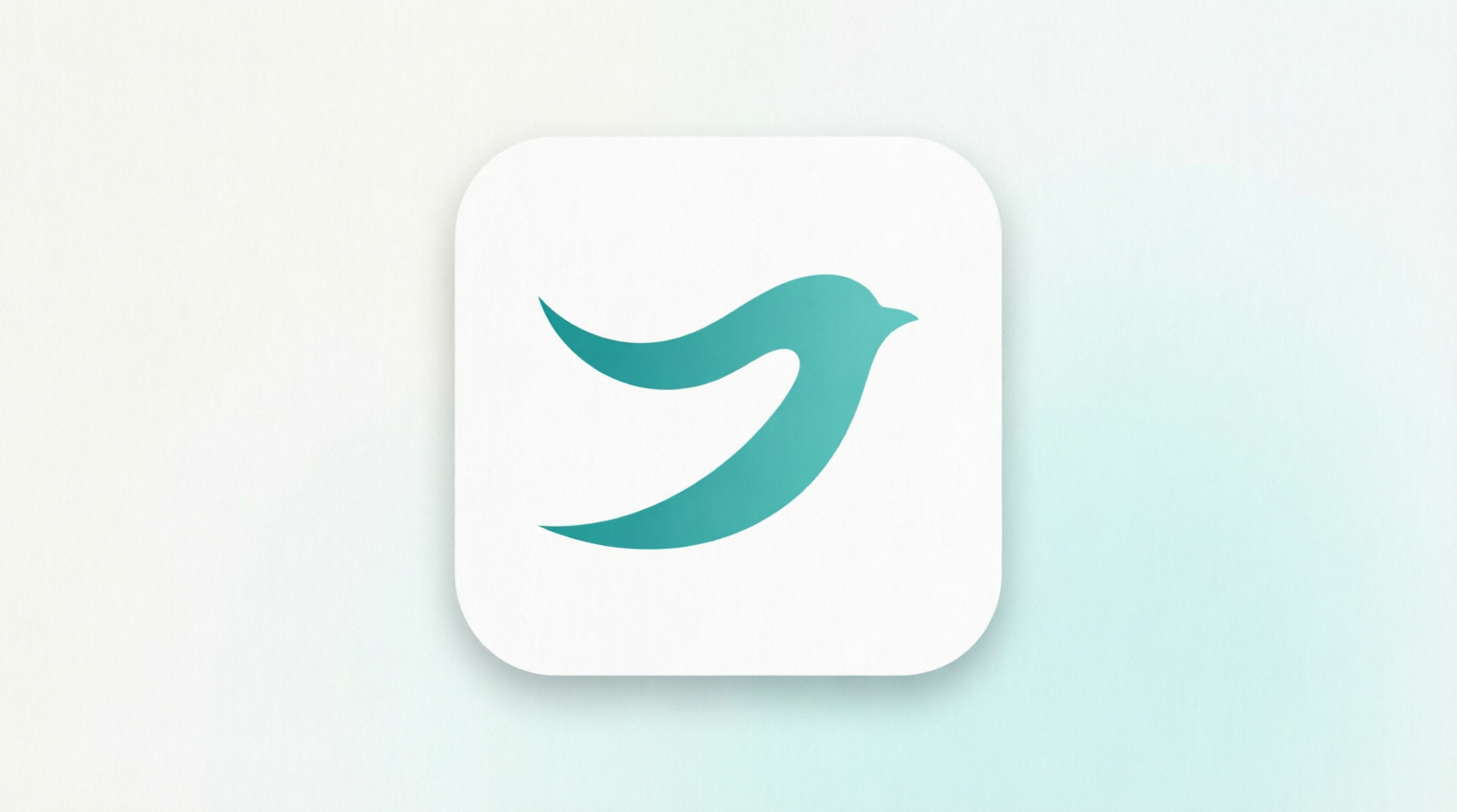 Banner Bird Shopify Dashboard